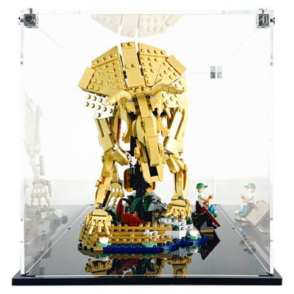 Display Case for LEGO® 77985 Jurassic World™ Dinosaur Fossils Triceratops