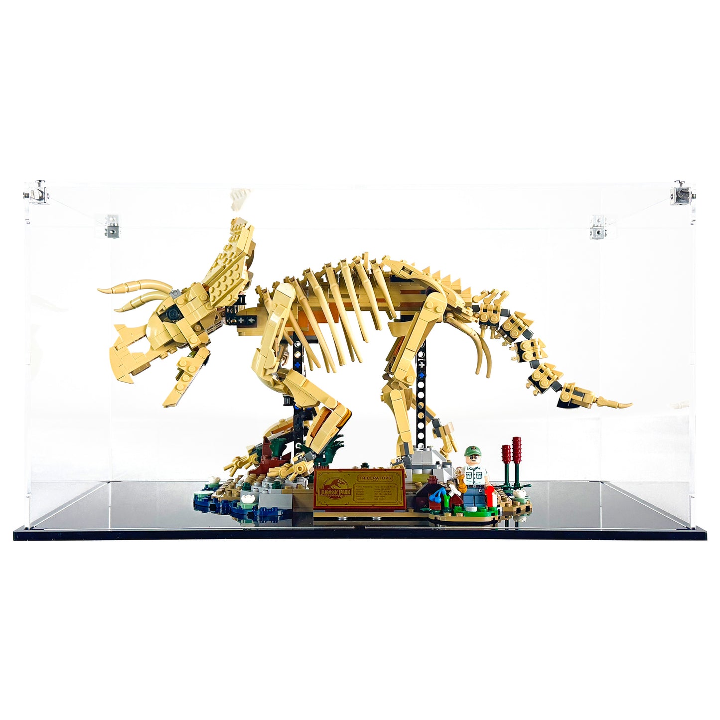 Display Case for LEGO® 77985 Jurassic World™ Dinosaur Fossils Triceratops